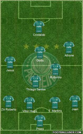 SE Palmeiras Formation 2016