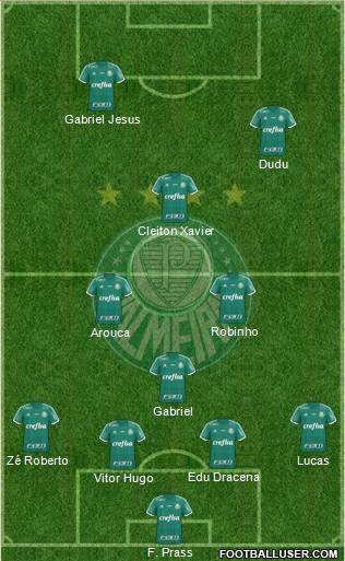 SE Palmeiras Formation 2016