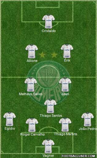 SE Palmeiras Formation 2016