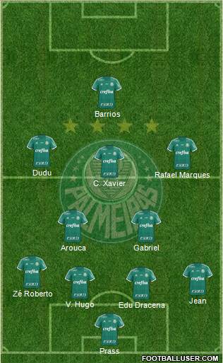 SE Palmeiras Formation 2016