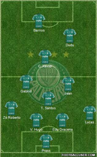 SE Palmeiras Formation 2016
