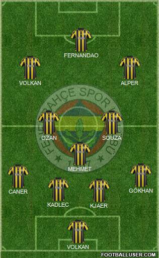Fenerbahçe SK Formation 2016