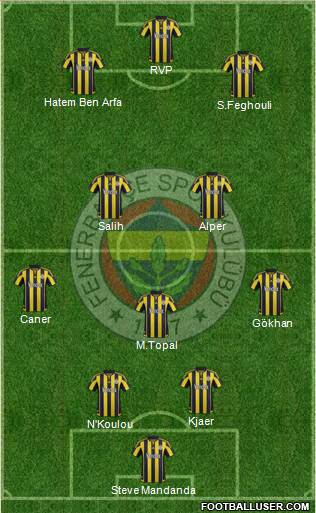 Fenerbahçe SK Formation 2016