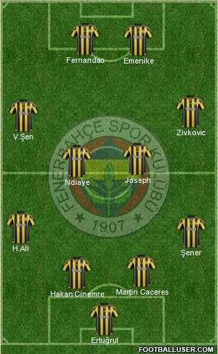 Fenerbahçe SK Formation 2016