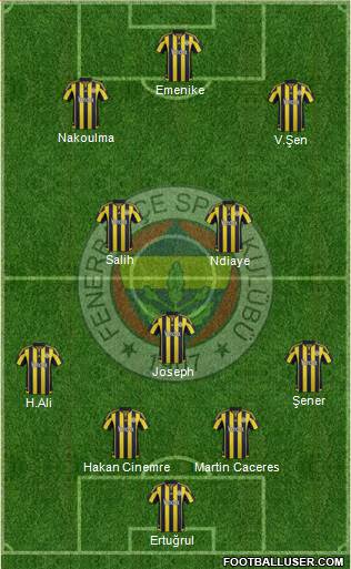 Fenerbahçe SK Formation 2016