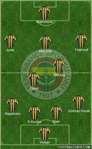 Fenerbahçe SK Formation 2016
