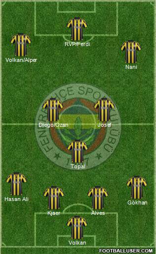 Fenerbahçe SK Formation 2016