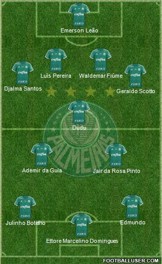 SE Palmeiras Formation 2016