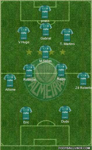 SE Palmeiras Formation 2016