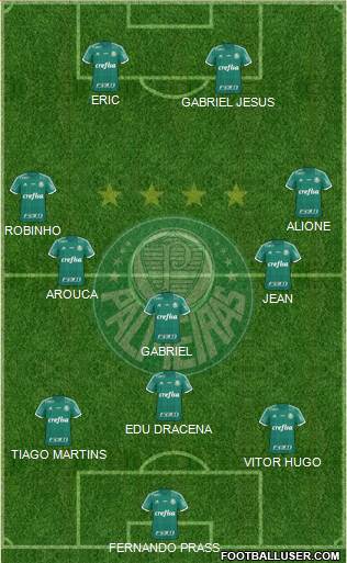 SE Palmeiras Formation 2016