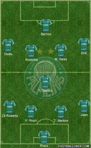 SE Palmeiras Formation 2016