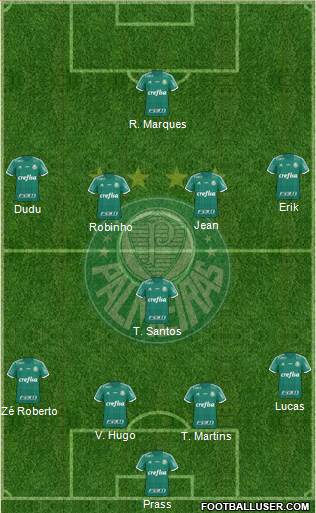 SE Palmeiras Formation 2016