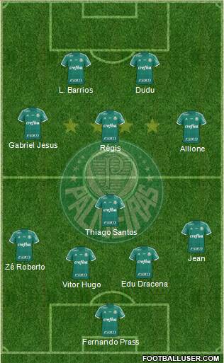 SE Palmeiras Formation 2016