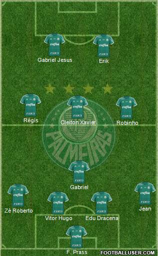 SE Palmeiras Formation 2016
