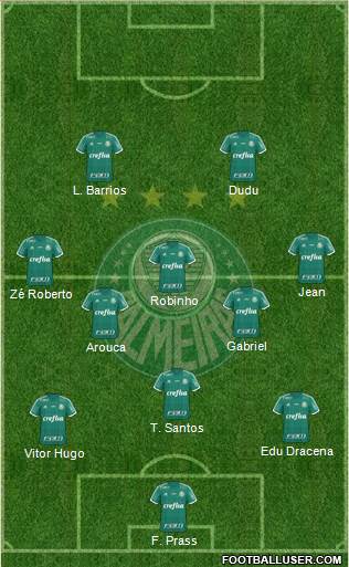 SE Palmeiras Formation 2016