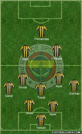 Fenerbahçe SK Formation 2016