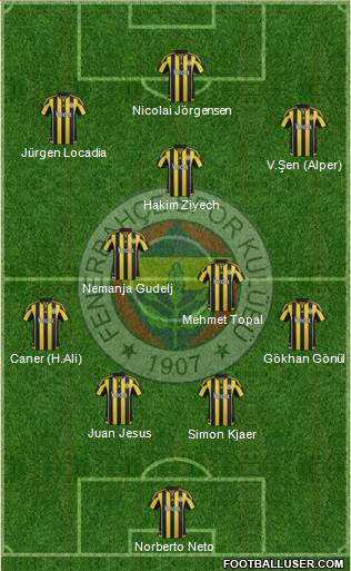 Fenerbahçe SK Formation 2016