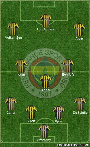 Fenerbahçe SK Formation 2016