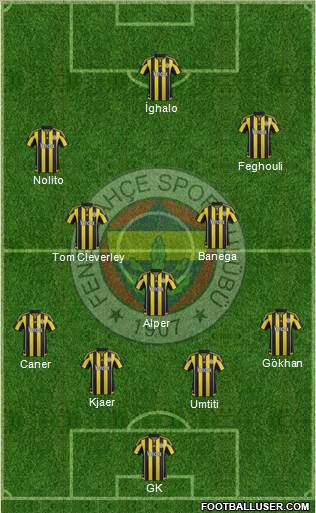 Fenerbahçe SK Formation 2016