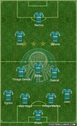 SE Palmeiras Formation 2016