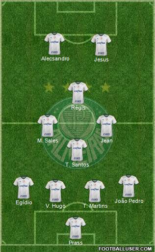 SE Palmeiras Formation 2016
