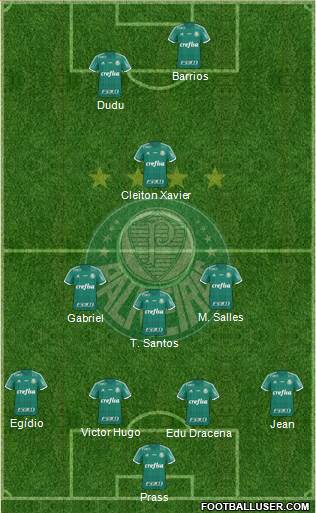 SE Palmeiras Formation 2016