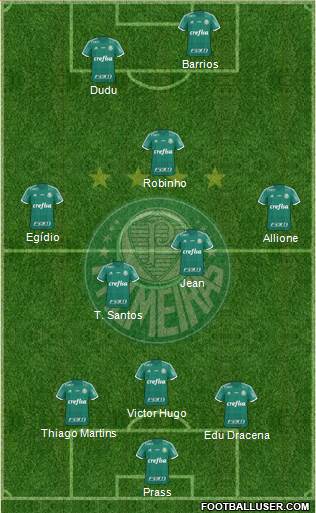 SE Palmeiras Formation 2016