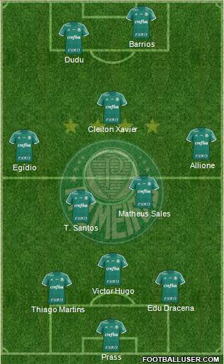 SE Palmeiras Formation 2016