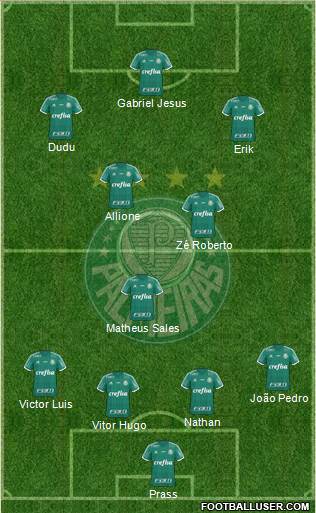 SE Palmeiras Formation 2016