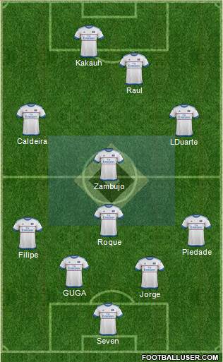 Hamburger SV Formation 2016