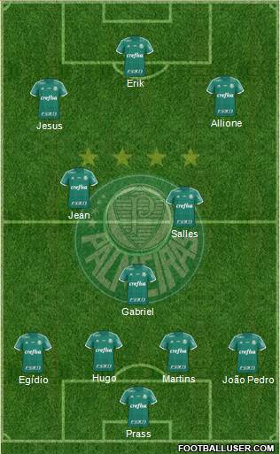 SE Palmeiras Formation 2016