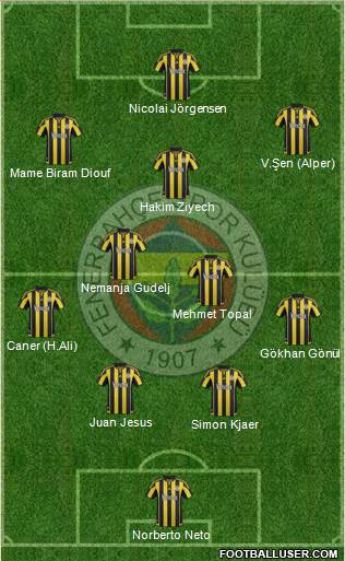 Fenerbahçe SK Formation 2016