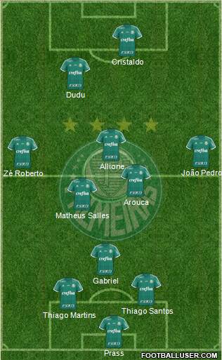 SE Palmeiras Formation 2016