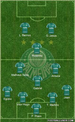 SE Palmeiras Formation 2016