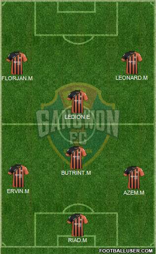 Gangwon FC Formation 2016