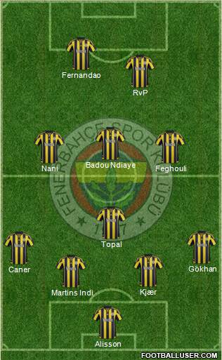 Fenerbahçe SK Formation 2016