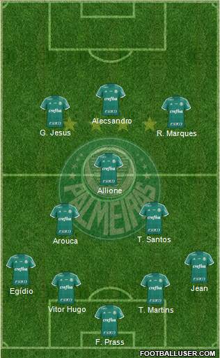 SE Palmeiras Formation 2016