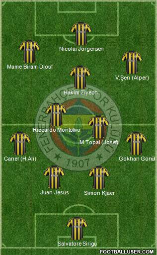 Fenerbahçe SK Formation 2016