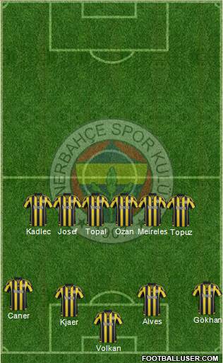 Fenerbahçe SK Formation 2016