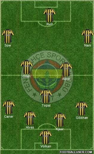 Fenerbahçe SK Formation 2016