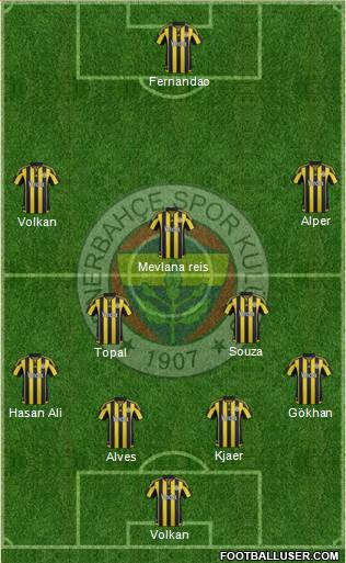 Fenerbahçe SK Formation 2016