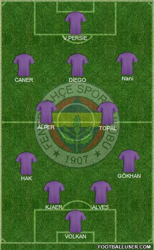 Fenerbahçe SK Formation 2016