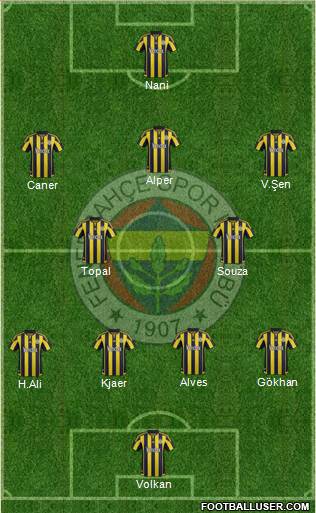 Fenerbahçe SK Formation 2016
