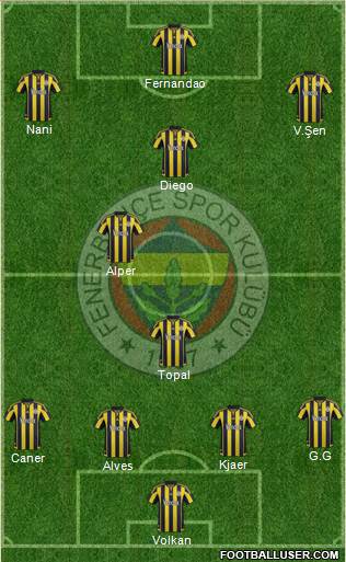 Fenerbahçe SK Formation 2016