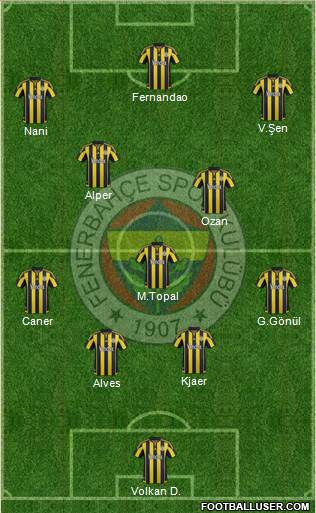 Fenerbahçe SK Formation 2016