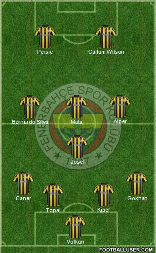 Fenerbahçe SK Formation 2016
