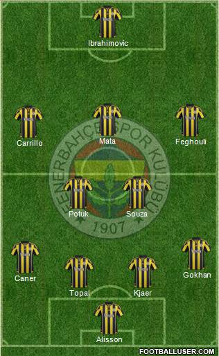 Fenerbahçe SK Formation 2016