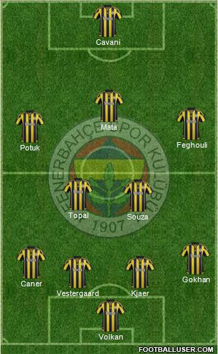 Fenerbahçe SK Formation 2016