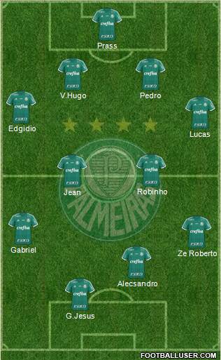 SE Palmeiras Formation 2016