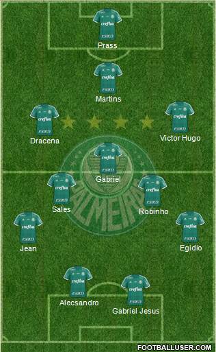 SE Palmeiras Formation 2016